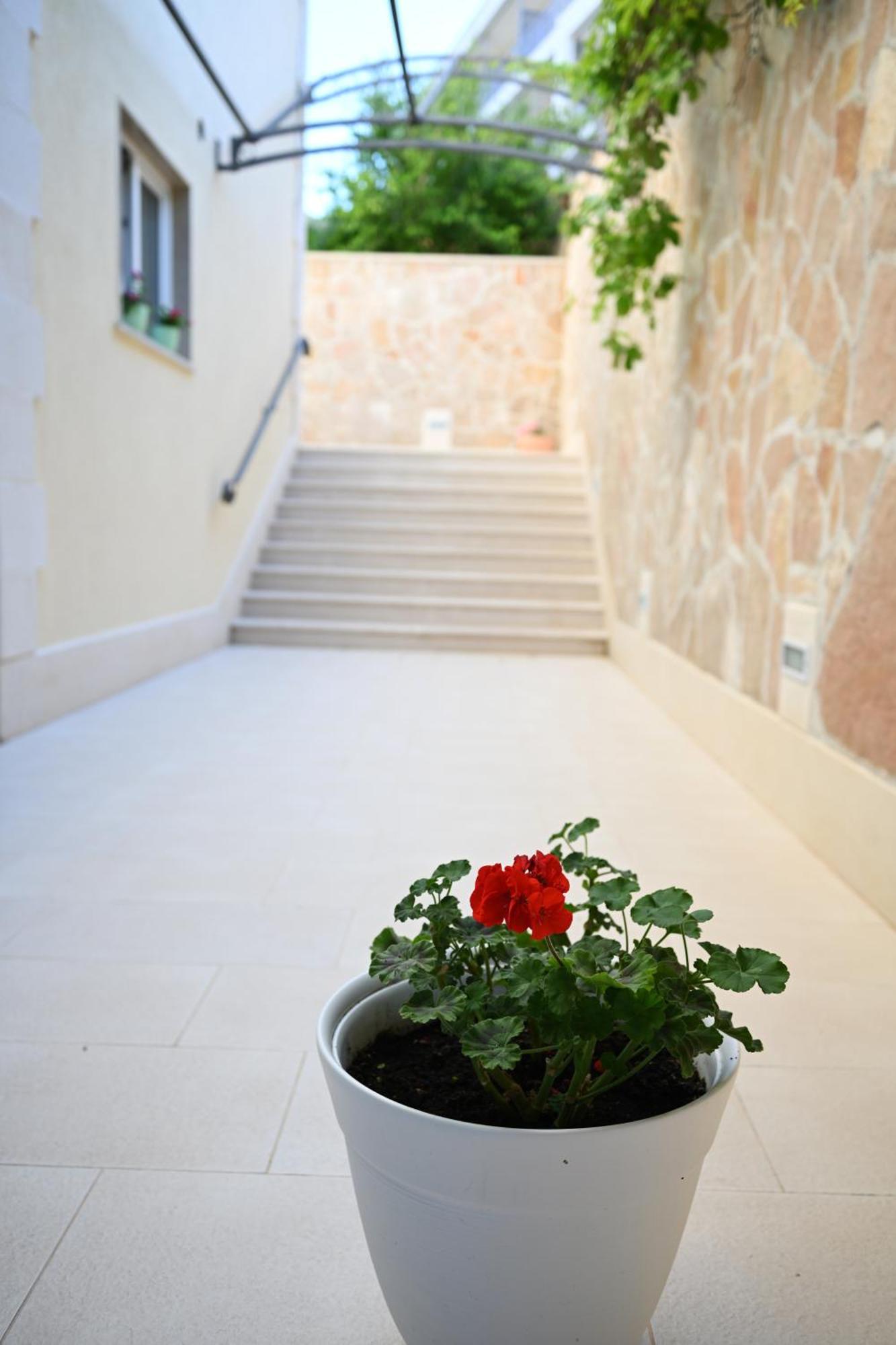 Hvar Villa Malisko Apartments Hvar Town Dış mekan fotoğraf