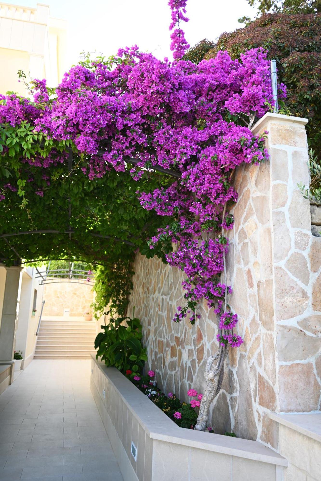 Hvar Villa Malisko Apartments Hvar Town Dış mekan fotoğraf
